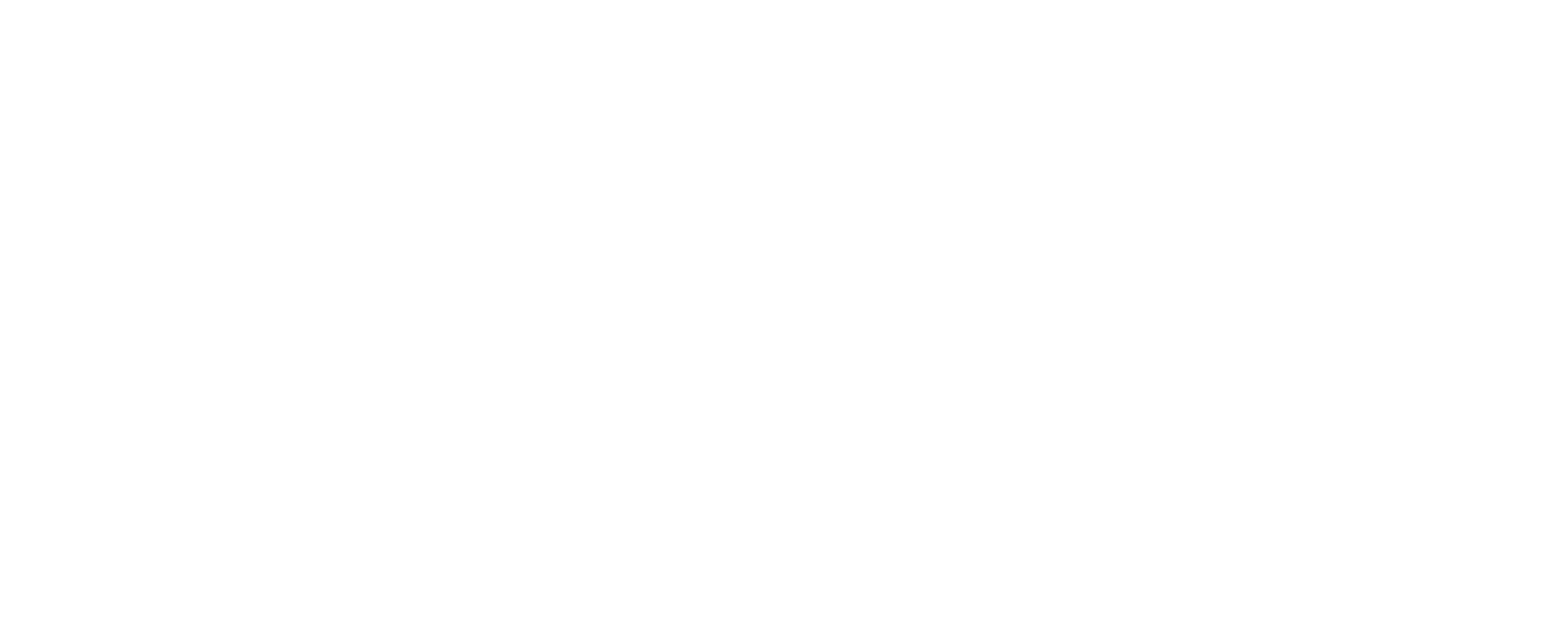 THE MILLIONAIRE MIND